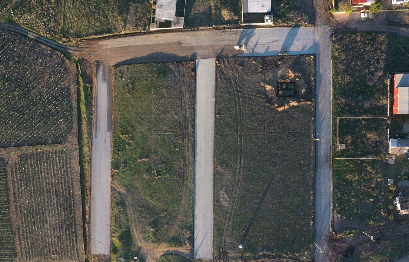 Araceli Brown FMX Fusion Mexicana